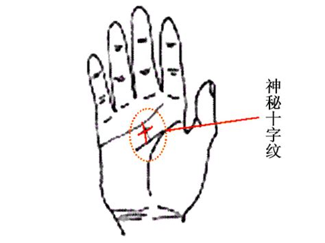 掌中十字紋|十字纹手相图解